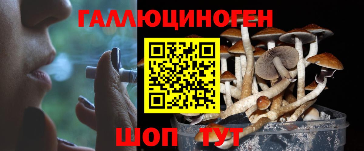 Галлюциногенные грибы MAGIC MUSHROOMS  Вход с VPN  Ноябрьск 